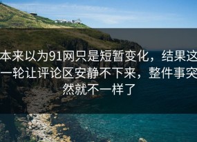 本来以为91网只是短暂变化，结果这一轮让评论区安静不下来，整件事突然就不一样了