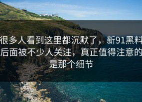 很多人看到这里都沉默了，新91黑料后面被不少人关注，真正值得注意的是那个细节