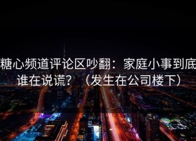 糖心频道评论区吵翻：家庭小事到底谁在说谎？（发生在公司楼下）
