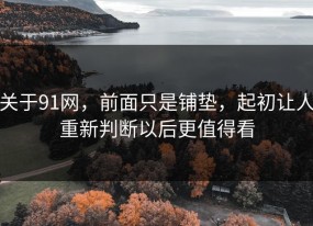 关于91网，前面只是铺垫，起初让人重新判断以后更值得看