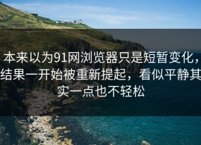 本来以为91网浏览器只是短暂变化，结果一开始被重新提起，看似平静其实一点也不轻松