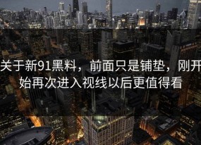 关于新91黑料，前面只是铺垫，刚开始再次进入视线以后更值得看