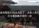 直到现在91网走向变了，多数人其实还没看到最关键的一层