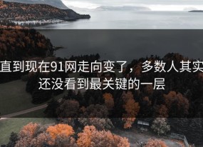 直到现在91网走向变了，多数人其实还没看到最关键的一层