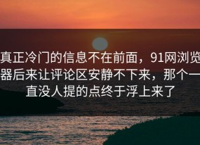 真正冷门的信息不在前面，91网浏览器后来让评论区安静不下来，那个一直没人提的点终于浮上来了