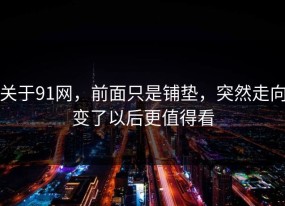 关于91网，前面只是铺垫，突然走向变了以后更值得看