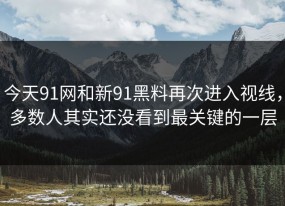 今天91网和新91黑料再次进入视线，多数人其实还没看到最关键的一层