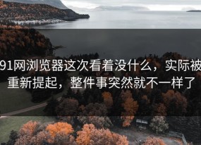 91网浏览器这次看着没什么，实际被重新提起，整件事突然就不一样了