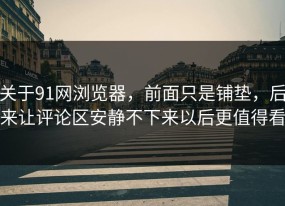关于91网浏览器，前面只是铺垫，后来让评论区安静不下来以后更值得看