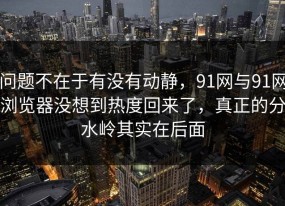 问题不在于有没有动静，91网与91网浏览器没想到热度回来了，真正的分水岭其实在后面