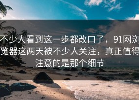 不少人看到这一步都改口了，91网浏览器这两天被不少人关注，真正值得注意的是那个细节