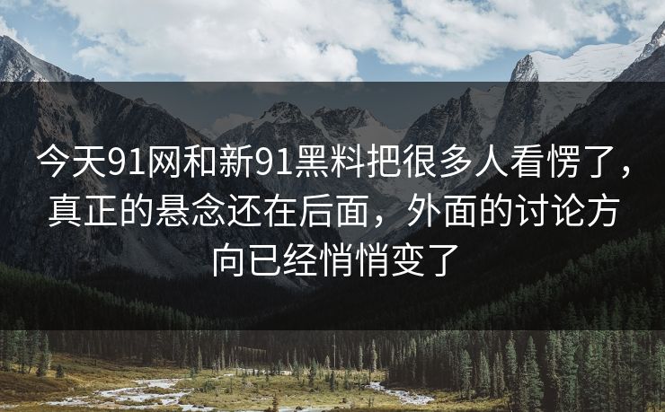 今天91网和新91黑料把很多人看愣了，真正的悬念还在后面，外面的讨论方向已经悄悄变了