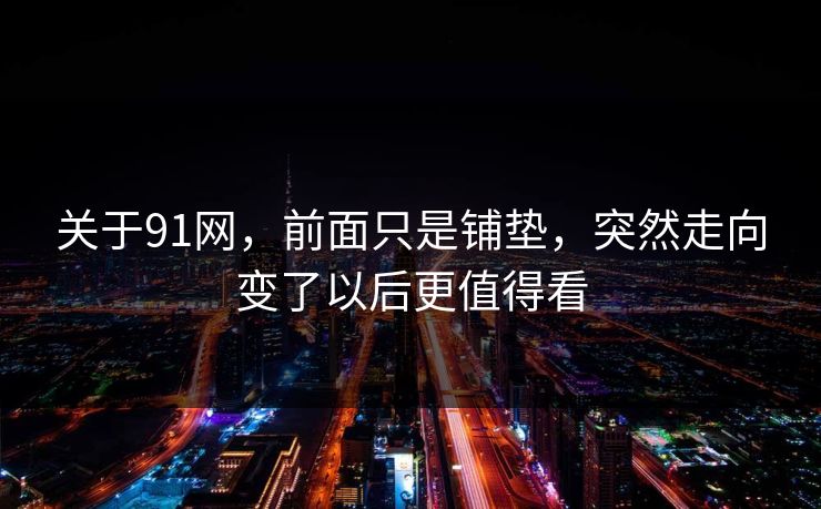 关于91网，前面只是铺垫，突然走向变了以后更值得看