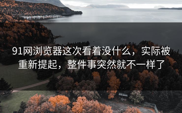 91网浏览器这次看着没什么，实际被重新提起，整件事突然就不一样了
