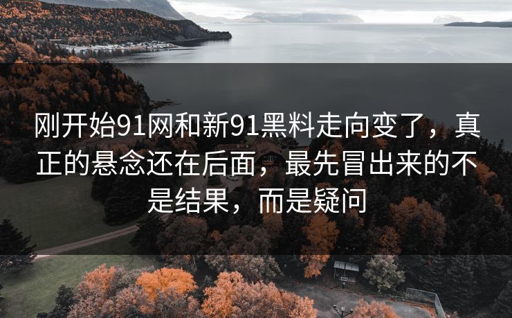 刚开始91网和新91黑料走向变了，真正的悬念还在后面，最先冒出来的不是结果，而是疑问