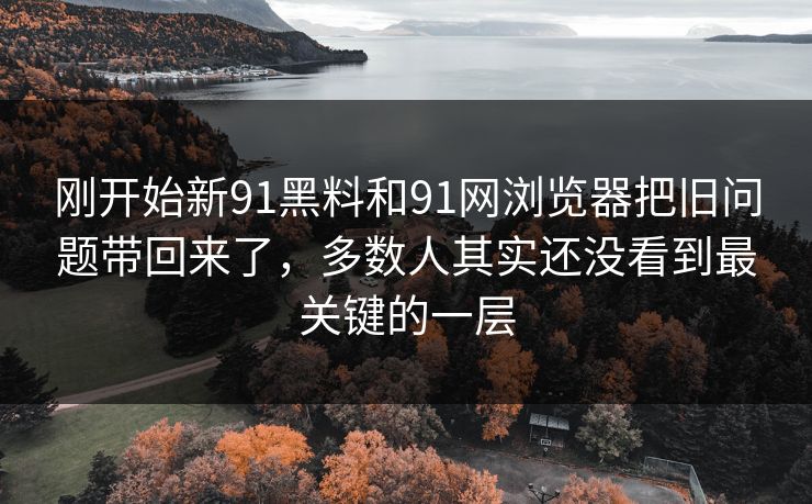 刚开始新91黑料和91网浏览器把旧问题带回来了，多数人其实还没看到最关键的一层