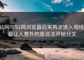 91网与91网浏览器后来再次进入视线，最让人意外的是说法开始分叉
