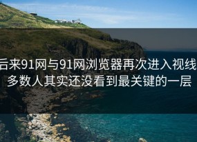 后来91网与91网浏览器再次进入视线，多数人其实还没看到最关键的一层