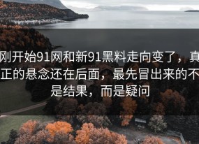 刚开始91网和新91黑料走向变了，真正的悬念还在后面，最先冒出来的不是结果，而是疑问